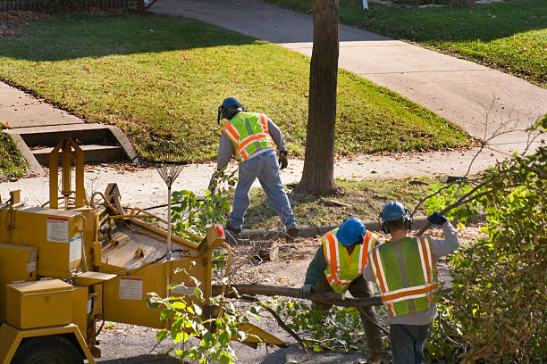 Soil Testing and Treatment in Waupun, WI